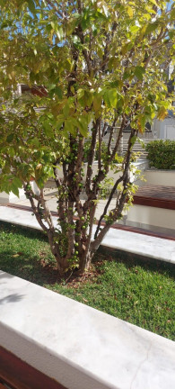 Imagem Imóvel com 3 Quartos à Venda, 92 m² em Parque Da Represa - Jundiaí Imagem Imóvel com 3 Quartos à Venda, 92 m² em Parque Da Represa - Jundiaí