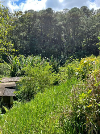 Imagem Terreno à Venda, 2.625 m² em Várzea - Teresópolis Imagem Terreno à Venda, 2.625 m² em Várzea - Teresópolis