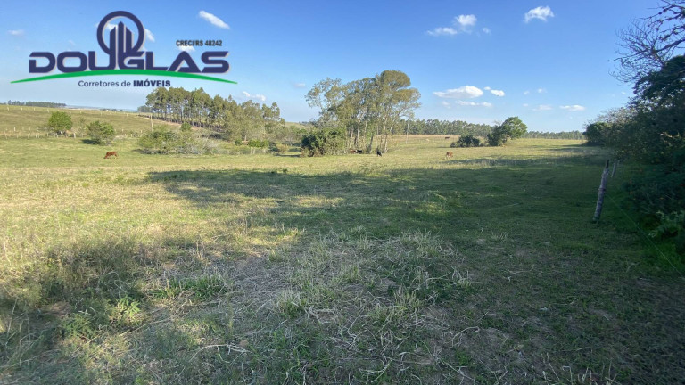 Imagem Casa com 2 Quartos à Venda,  em Viamão