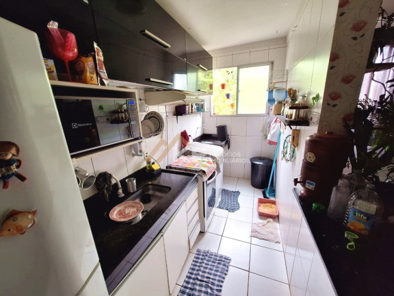 Imagem Apartamento com 2 Quartos à Venda, 48 m² em Sumarezinho - Ribeirão Preto Imagem Apartamento com 2 Quartos à Venda, 48 m² em Sumarezinho - Ribeirão Preto
