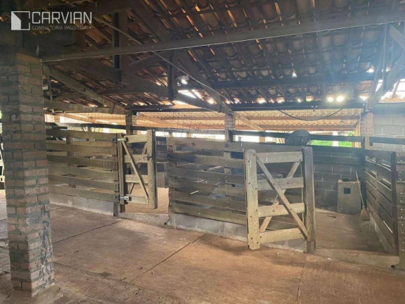 Imagem Fazenda à Venda, 6 m² em Zona Rural - São Simão Imagem Fazenda à Venda, 6 m² em Zona Rural - São Simão