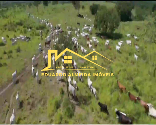 Imagem Imóvel à Venda,  em Barreira Da Onça - Arraias