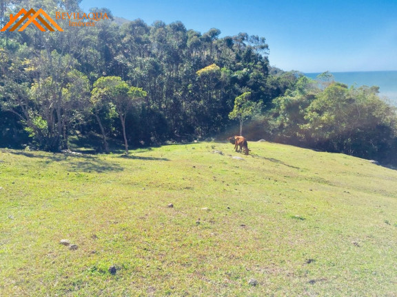 Imagem Terreno à Venda, 20.300 m² em Ferrugem - Garopaba
