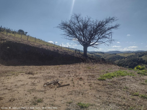 Imagem Chácara à Venda, 44.800 m² em Santo Antônio De Caldas - Caldas Imagem Chácara à Venda, 44.800 m² em Santo Antônio De Caldas - Caldas