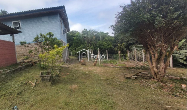 Imagem Fazenda à Venda, 6.000 m² em Lageado - Porto Alegre