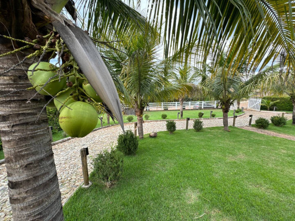 Imagem Chácara com 4 Quartos à Venda, 2 m² em Jardim Das Mangabeiras - Mateus Leme Imagem Chácara com 4 Quartos à Venda, 2 m² em Jardim Das Mangabeiras - Mateus Leme