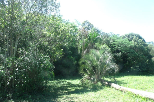 Imagem Imóvel com 2 Quartos à Venda, 28.600 m² em Passo Da Areia - Viamão Imagem Imóvel com 2 Quartos à Venda, 28.600 m² em Passo Da Areia - Viamão