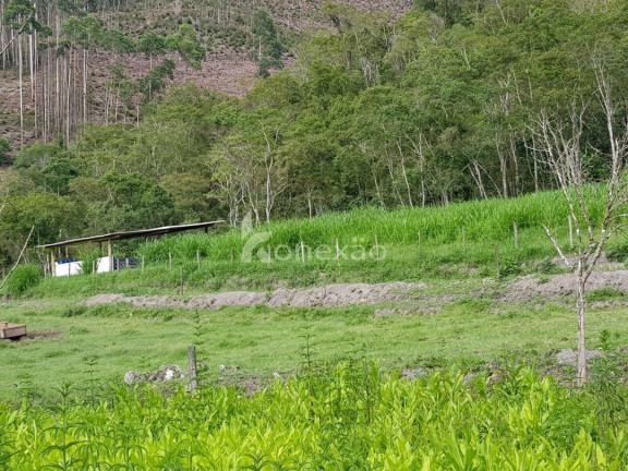 Imagem Fazenda à Venda, 90 m² em Centro - São Luíz Do Paraitinga Imagem Fazenda à Venda, 90 m² em Centro - São Luíz Do Paraitinga
