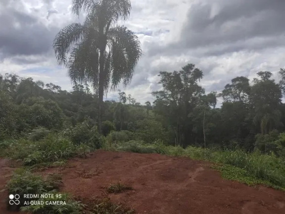 Imagem Imóvel à Venda, 174.240 m² em Sao Silvestre - Campo Largo Imagem Imóvel à Venda, 174.240 m² em Sao Silvestre - Campo Largo