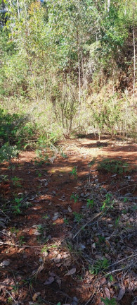 Imagem Terreno à Venda, 3.240 m² em Santa Teresa Imagem Terreno à Venda, 3.240 m² em Santa Teresa