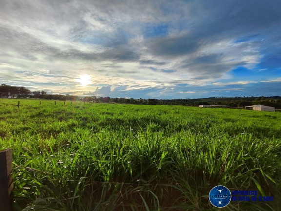 Imagem Chácara à Venda, 8 m² em Zona Rural - Taquaral De Goiás Imagem Chácara à Venda, 8 m² em Zona Rural - Taquaral De Goiás