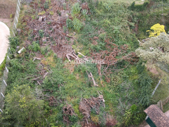 Imagem Terreno à Venda, 1.110 m² em Região De Descansópolis - Campos Do Jordão Imagem Terreno à Venda, 1.110 m² em Região De Descansópolis - Campos Do Jordão
