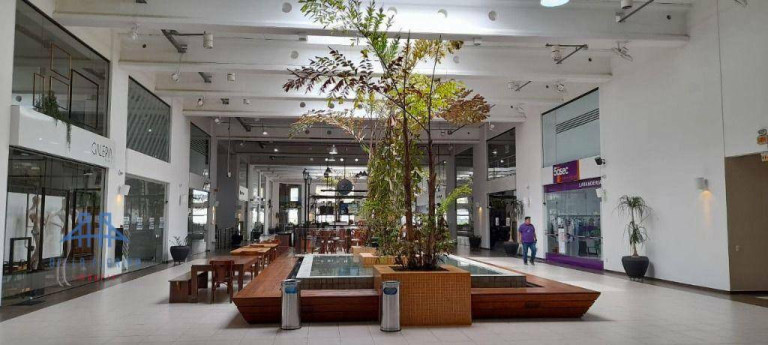 Sala Comercial à Venda, 250 m² em Saco Grande - Florianópolis