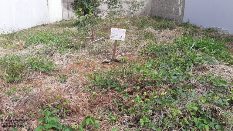 Imagem Terreno à Venda, 180 m² em Jardim São Bento - Poços De Caldas Imagem Terreno à Venda, 180 m² em Jardim São Bento - Poços De Caldas