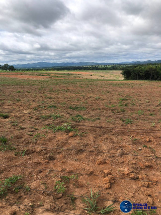 Imagem Fazenda à Venda, 105 m² em Zona Rural - Fazenda Nova Imagem Fazenda à Venda, 105 m² em Zona Rural - Fazenda Nova