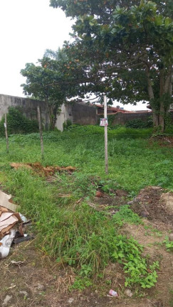 Imagem Terreno à Venda, 401 m² em Bopiranga - Itanhaém Imagem Terreno à Venda, 401 m² em Bopiranga - Itanhaém