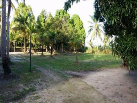 Imagem Chácara com 3 Quartos à Venda, 6.490 m² em Abrantes - Camaçari Imagem Chácara com 3 Quartos à Venda, 6.490 m² em Abrantes - Camaçari