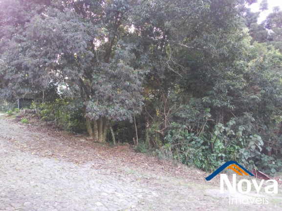 Imagem Imóvel à Venda, 605 m² em Centro - Nova Petrópolis Imagem Imóvel à Venda, 605 m² em Centro - Nova Petrópolis