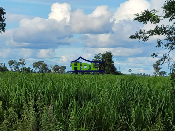 Imagem Fazenda à Venda,  em Fazenda - Araguaiana