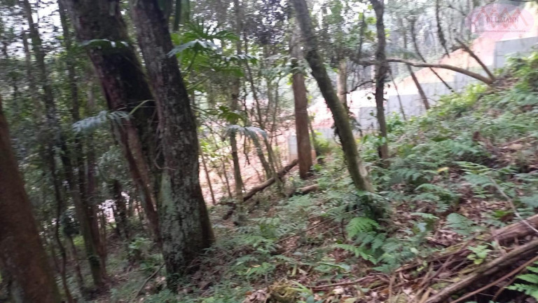 Imagem Terreno à Venda, 3.504 m² em Represa - Ribeirão Pires