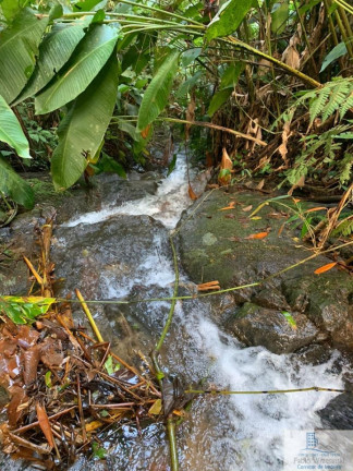 Imagem Chácara à Venda, 126.000 m² em Centro (rio Rosinha) - Rio Dos Cedros