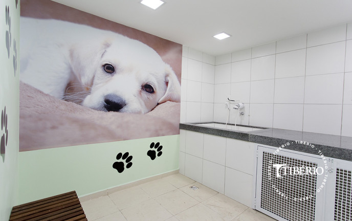 Imagem Apartamento com 2 Quartos à Venda, 50 m² em Freguesia Do ó - São Paulo Imagem Apartamento com 2 Quartos à Venda, 50 m² em Freguesia Do ó - São Paulo