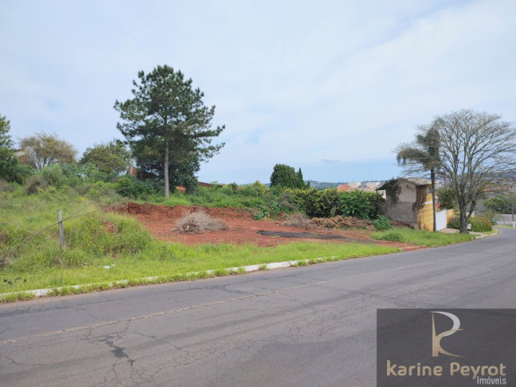 Imagem Terreno à Venda, 785 m² em Campestre - São Leopoldo