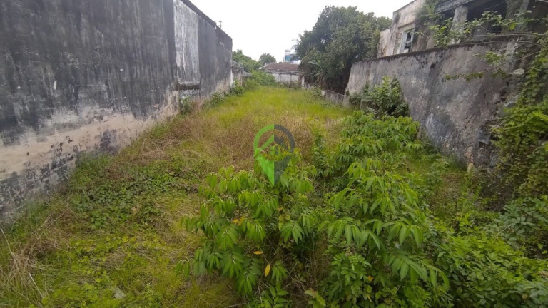Imagem Terreno para Alugar, 500 m² em Encruzilhada - Santos Imagem Terreno para Alugar, 500 m² em Encruzilhada - Santos