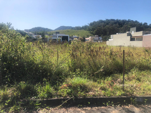 Imagem Terreno à Venda, 334 m² em Três Rios Do Norte - Jaraguá Do Sul