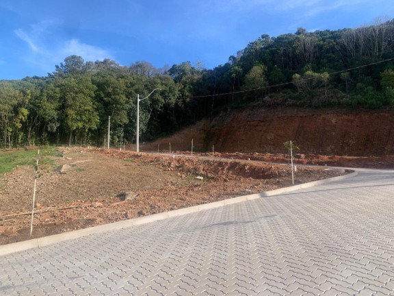 Imagem Terreno à Venda, 293 m² em Sao Roque - Bento Gonçalves