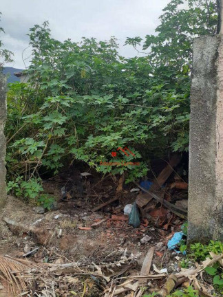 Imagem Terreno à Venda, 250 m² em Massaguaçu - Caraguatatuba