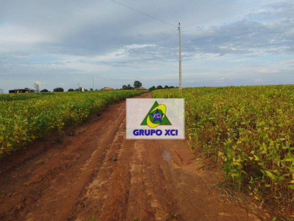 Imagem Fazenda à Venda, 3.388.000 m² em Zona Rural - Ponte Alta Do Tocantins Imagem Fazenda à Venda, 3.388.000 m² em Zona Rural - Ponte Alta Do Tocantins