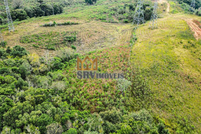 Imagem Terreno à Venda, 44.900 m² em Barro Preto - São José Dos Pinhais