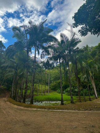 Imagem Chácara à Venda, 92.575 m² em Três Rios Do Norte - Jaraguá Do Sul