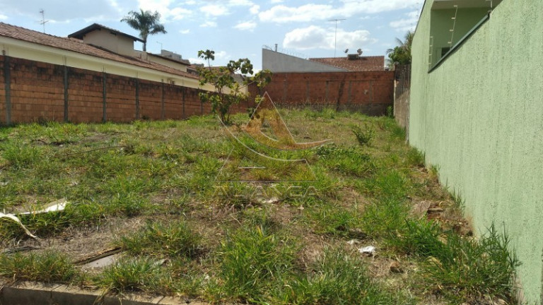 Imagem Terreno à Venda, 475 m² em Ribeirânia - Ribeirão Preto Imagem Terreno à Venda, 475 m² em Ribeirânia - Ribeirão Preto
