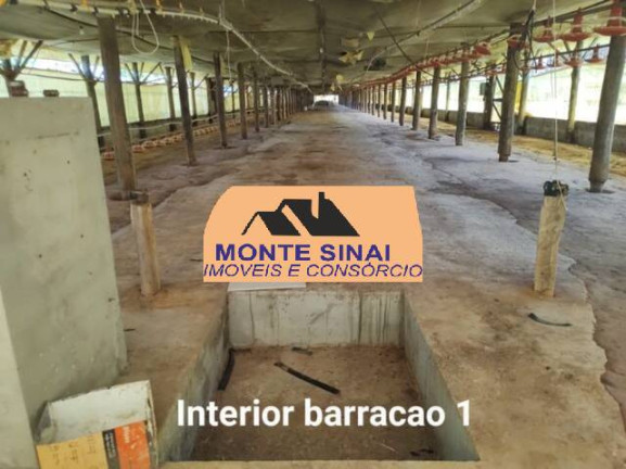Imagem Chácara com 5 Quartos à Venda, 10 m² em Jardim Marabá - Itapetininga Imagem Chácara com 5 Quartos à Venda, 10 m² em Jardim Marabá - Itapetininga