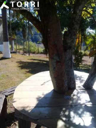 Imagem Imóvel com 4 Quartos à Venda, 200 m² em Centro - Piedade Imagem Imóvel com 4 Quartos à Venda, 200 m² em Centro - Piedade