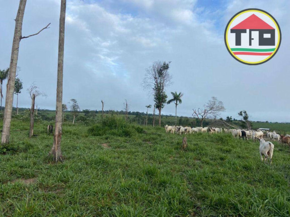 Imagem Fazenda à Venda, 9.196.000 m² em Fazenda - Breu Branco Imagem Fazenda à Venda, 9.196.000 m² em Fazenda - Breu Branco