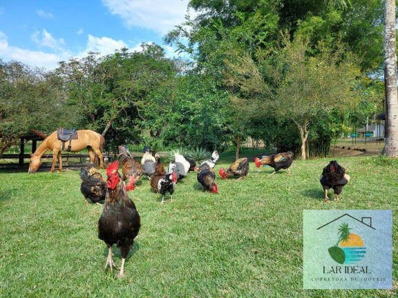 Imagem Chácara à Venda, 34 m² em Maraporã - Cachoeiras De Macacu Imagem Chácara à Venda, 34 m² em Maraporã - Cachoeiras De Macacu