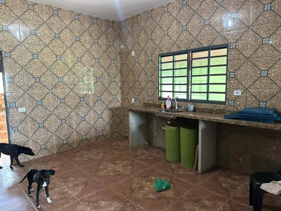 Imagem Chácara à Venda, 5.000 m² em Santa Maria - Trindade Imagem Chácara à Venda, 5.000 m² em Santa Maria - Trindade