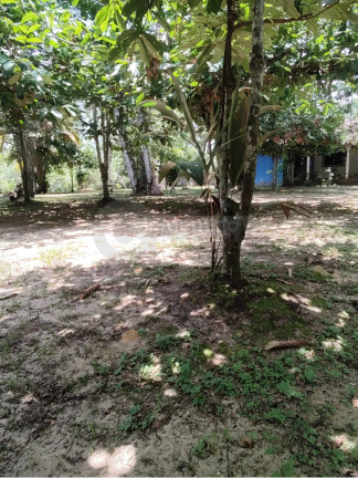 Imagem Chácara com 4 Quartos à Venda, 5.800 m² em Tarumã-açu - Manaus