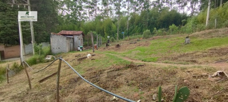 Imagem Chácara com 2 Quartos à Venda, 1.800 m² em Caetê - São Roque