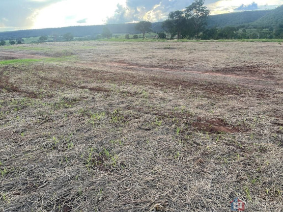 Imagem Imóvel à Venda, 1.255.000 m² em Centro - Campina Verde
