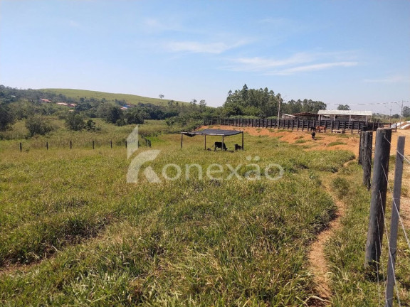 Imagem Fazenda à Venda, 150 m² em Marambaia - Caçapava Imagem Fazenda à Venda, 150 m² em Marambaia - Caçapava