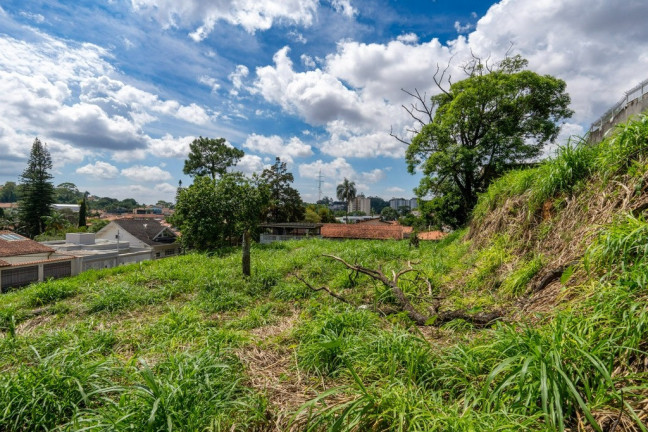 Imagem Terreno à Venda, em Vila Albertina - São Paulo Imagem Terreno à Venda, em Vila Albertina - São Paulo