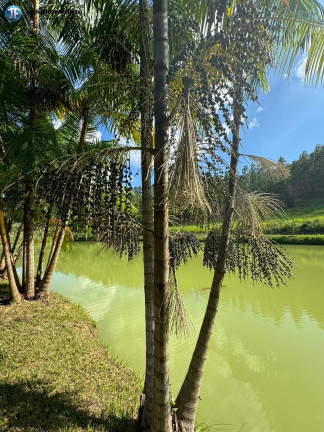 Imagem Chácara com 6 Quartos à Venda, 55.000 m² em Belo Oriente Imagem Chácara com 6 Quartos à Venda, 55.000 m² em Belo Oriente