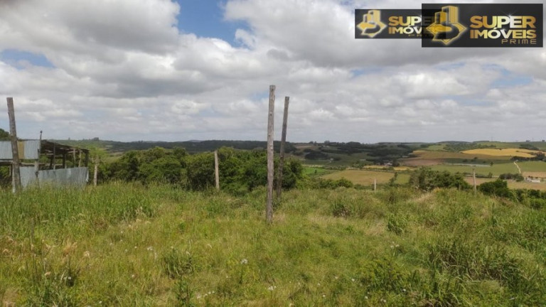 Imagem Imóvel com 2 Quartos à Venda, 240.000 m² em Centro - Morro Redondo