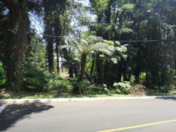 Imagem Terreno à Venda, 4.117 m² em Planalto - Gramado Imagem Terreno à Venda, 4.117 m² em Planalto - Gramado