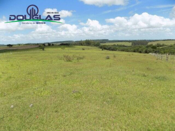 Imagem Chácara com 2 Quartos à Venda, 190.000 m² em Viamão