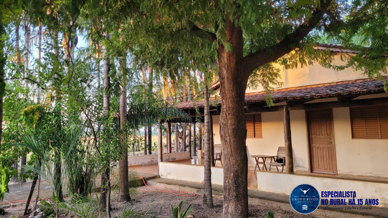 Imagem Fazenda à Venda, 37 m² em Zona Rural - Faina Imagem Fazenda à Venda, 37 m² em Zona Rural - Faina